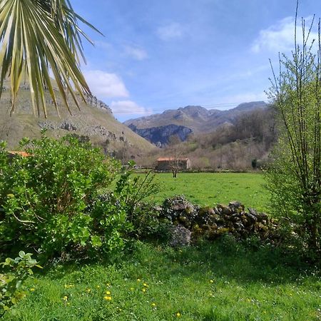 Amplia Y Comoda Casa De Piedra Con Porche Y Jardin San Roque de Ríomiera Exteriör bild
