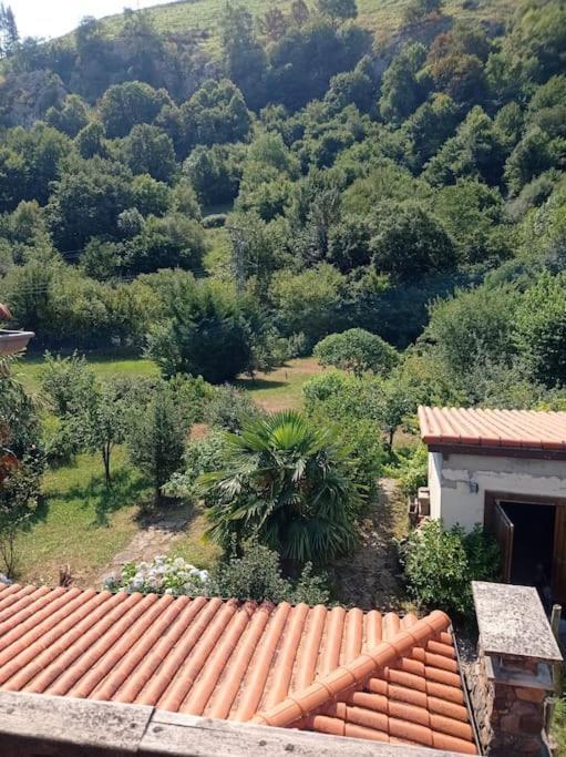 Amplia Y Comoda Casa De Piedra Con Porche Y Jardin San Roque de Ríomiera Exteriör bild