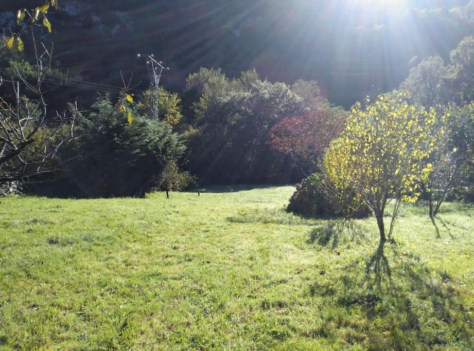 Amplia Y Comoda Casa De Piedra Con Porche Y Jardin San Roque de Ríomiera Exteriör bild