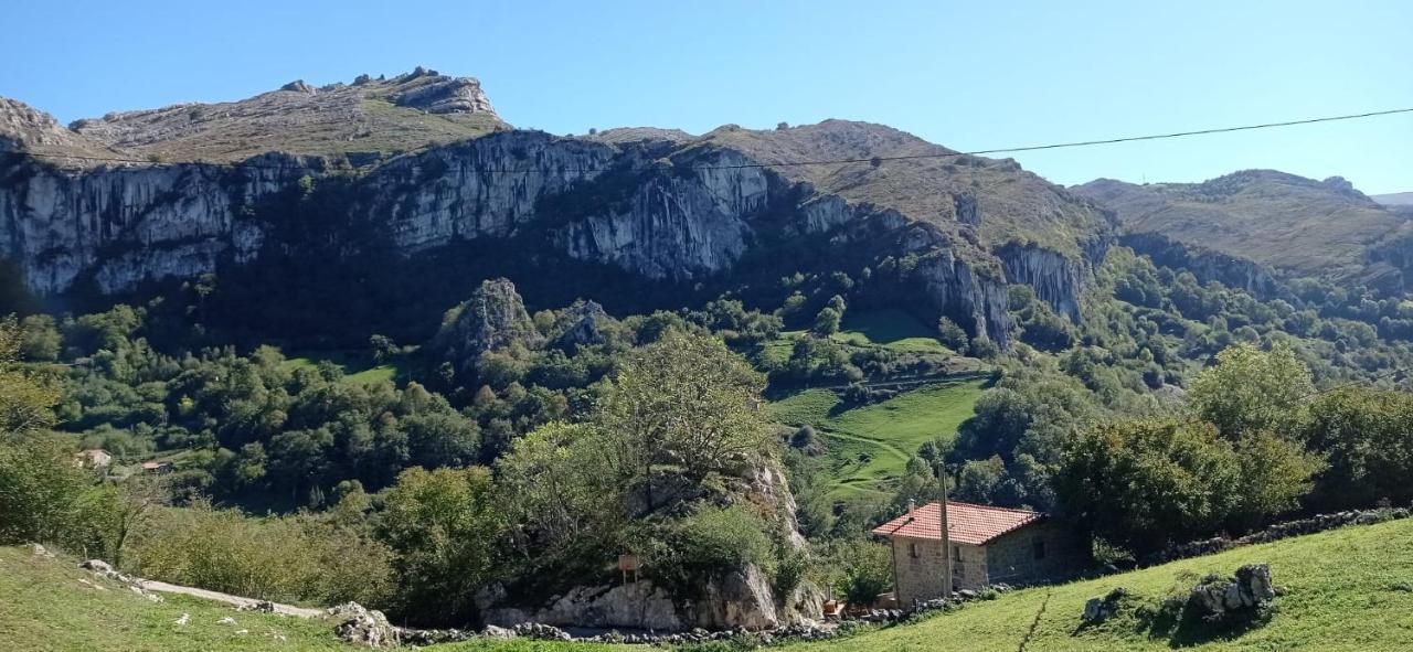 Amplia Y Comoda Casa De Piedra Con Porche Y Jardin San Roque de Ríomiera Exteriör bild