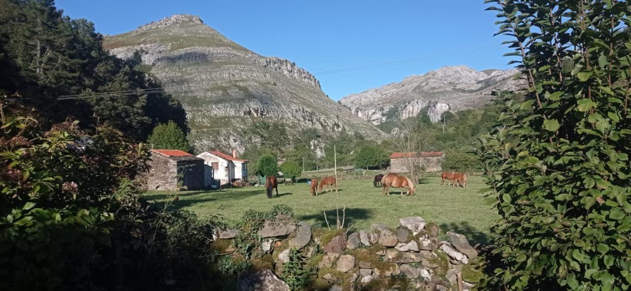 Amplia Y Comoda Casa De Piedra Con Porche Y Jardin San Roque de Ríomiera Exteriör bild
