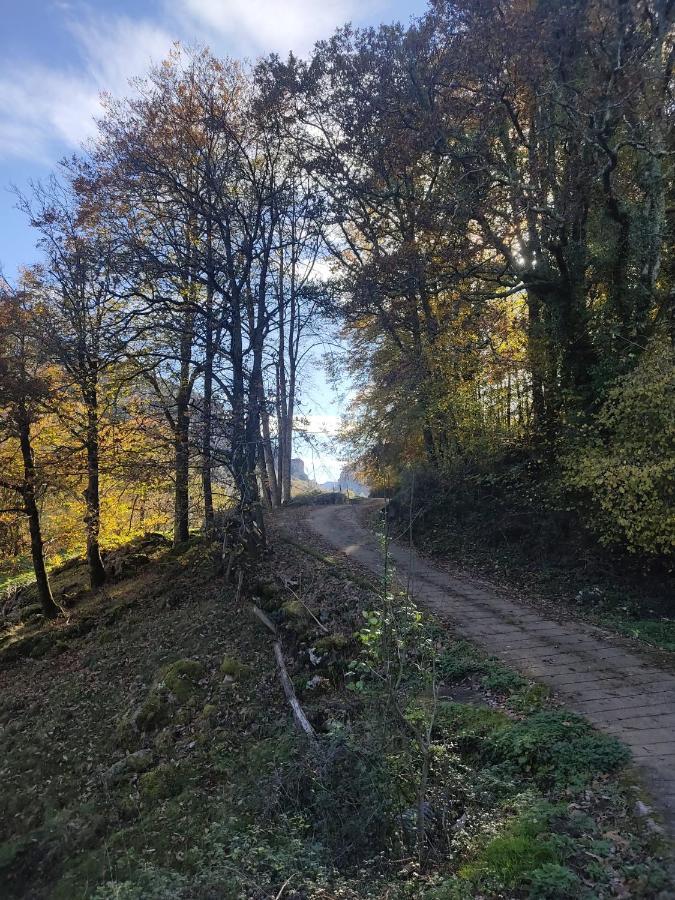 Amplia Y Comoda Casa De Piedra Con Porche Y Jardin San Roque de Ríomiera Exteriör bild