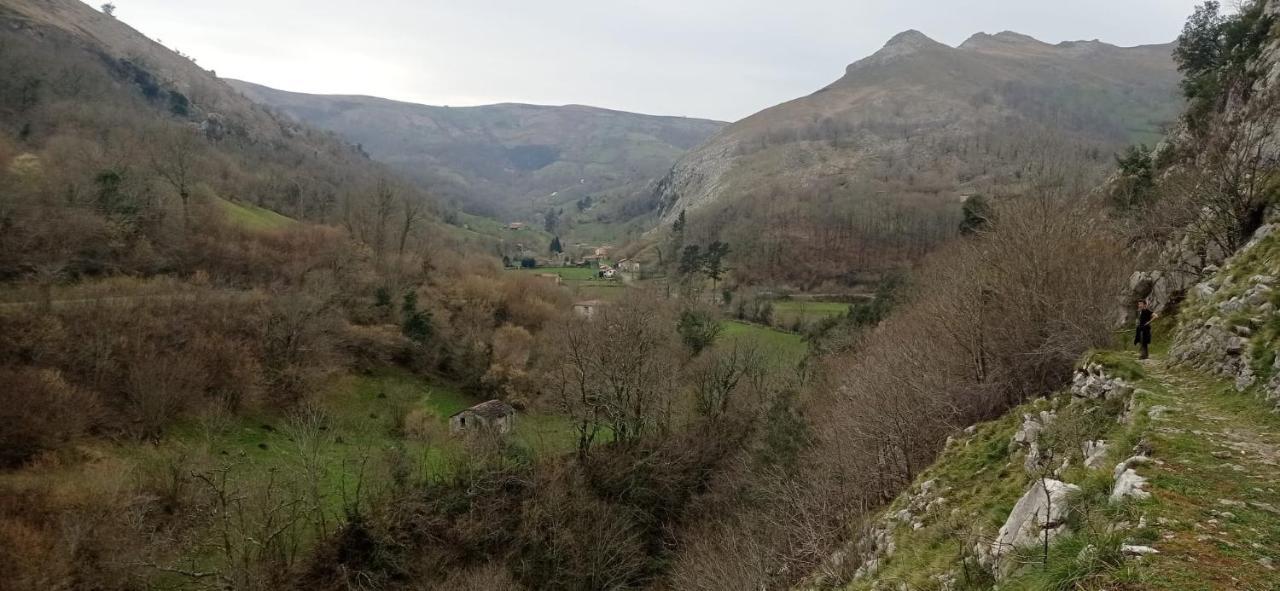 Amplia Y Comoda Casa De Piedra Con Porche Y Jardin San Roque de Ríomiera Exteriör bild