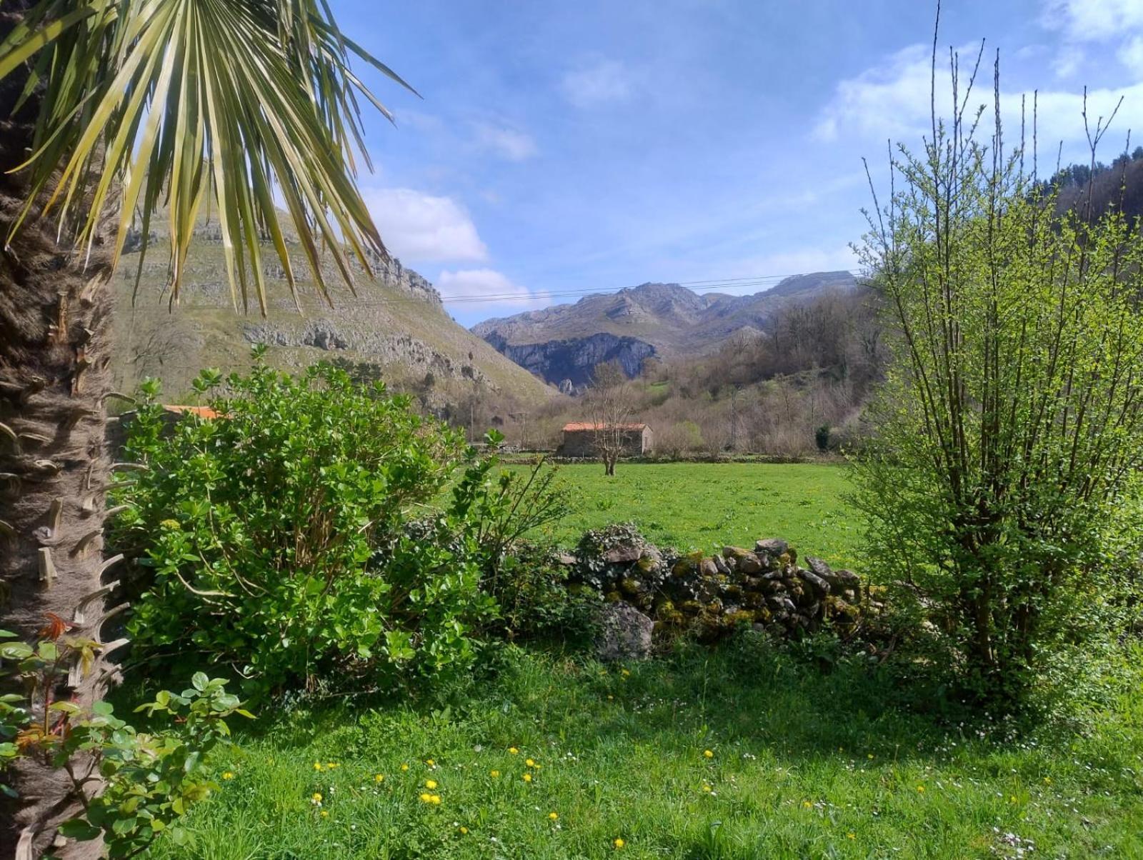 Amplia Y Comoda Casa De Piedra Con Porche Y Jardin San Roque de Ríomiera Exteriör bild